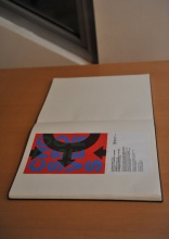 thmb-pap0081-581.JPG